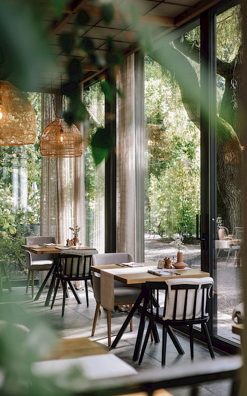 Cozy restaurant with large windows, modern furniture, and plants, creating an inviting atmosphere.